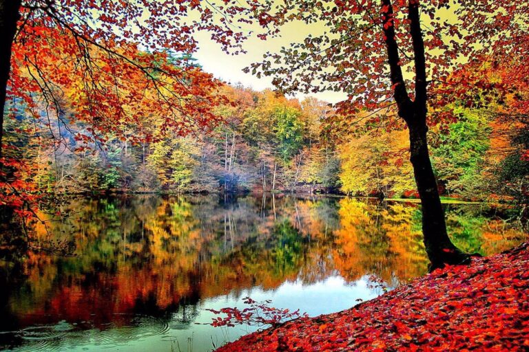 Yedigoller National Park